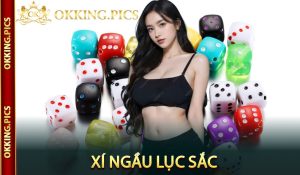 Xí ngầu lục sắc